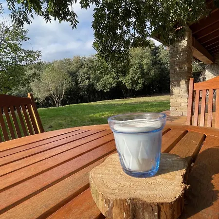 El Vilarot. La Casa De Piedra En La Naturaleza. Chalet Girona