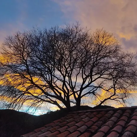 El Vilarot. La Casa De Piedra En La Naturaleza. * Girona